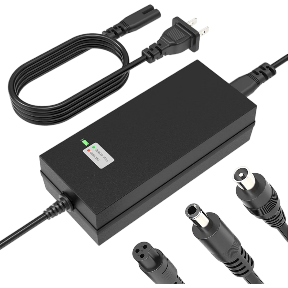 Electric Scooter Charger