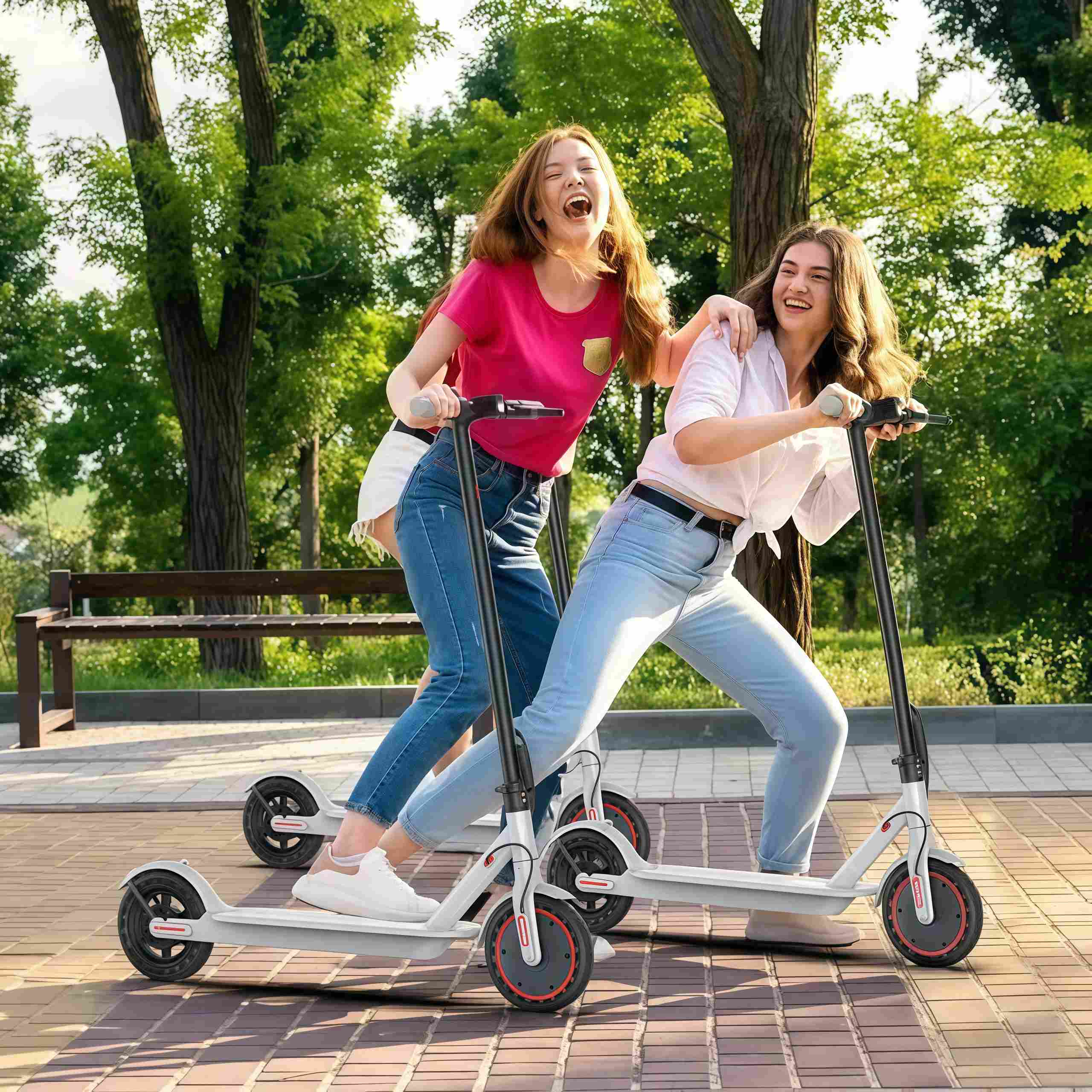 Roinside Electric Scooter brand